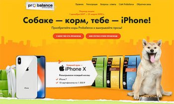 Акция Probalance: «Собаке корм - тебе iPhone»