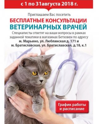 Бесплатные консультации ветеринарных врачей в магазинах «Бетховен»